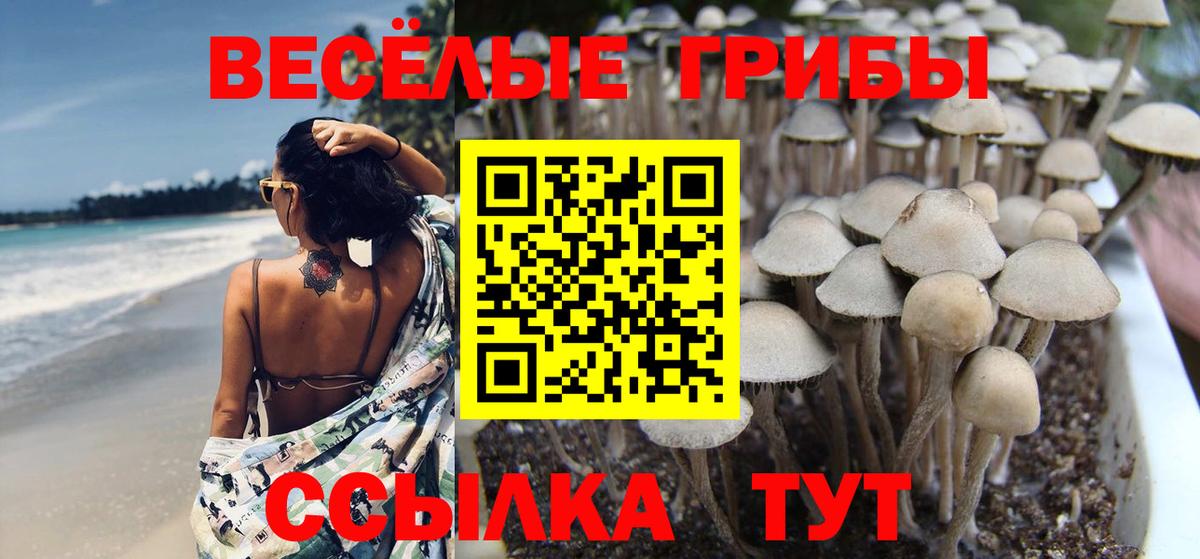 Галлюциногенные грибы MAGIC MUSHROOMS  Псилоцибиновые грибы мицелий  Вход с VPN  Белгород 